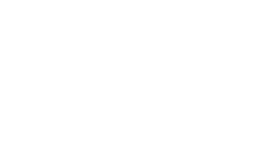 wahl-professional